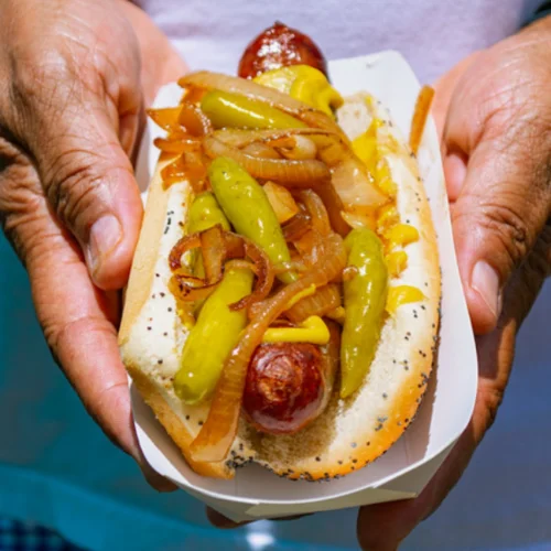 Maxwell Street Polish Sausage - A grilled Polish sausage served with mustard and grilled onions — a Chicago street food legend since the 1800s.